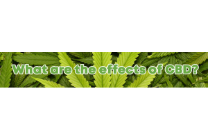 What are the effects of CBD